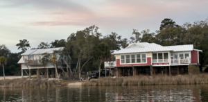 Two houses sit side by side in a marshy shoreline