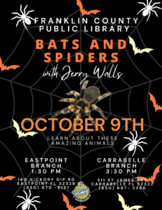 Flyer for Bats & Spiders program